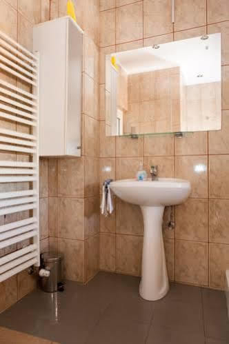 Pensiunea Haus Paltinul シビウ エクステリア 写真